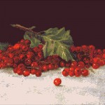 Goblen - Coacaze rosii