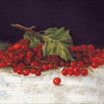 Goblen - Coacaze rosii