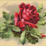 Goblen - Trandafir