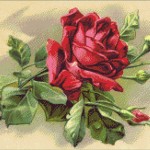 Goblen - Trandafir
