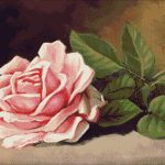 Goblen - Trandafir roz pe masă