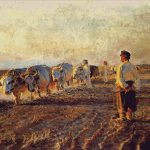 Goblen - Aratul câmpiilor din Galicia de est